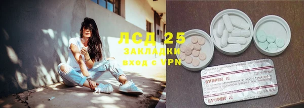 прущие крисы Алзамай