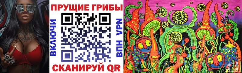 Псилоцибиновые грибы Psilocybe  Заволжск 